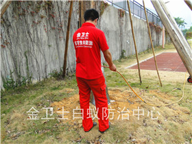深圳南山文德?；▓@白蟻防治服務(wù)