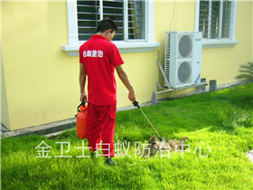 深圳沙井麗沙花都花園白蟻滅治服務