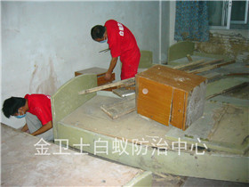 國都花園住宅樓按年承包白蟻防治服務