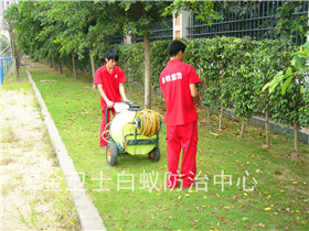 深圳龍崗區(qū)愉林新苑白蟻滅治服務