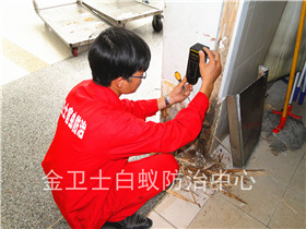 深圳福田區(qū)鵬益花園白蟻防治服務