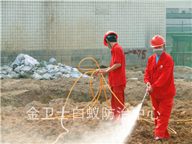 新建萬恒電器大廈白蟻預(yù)防工程