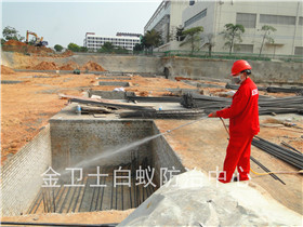 深圳南山麗湖中學土建白蟻預防工程