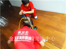 布吉桂芳園龍泉別墅白蟻防治服務