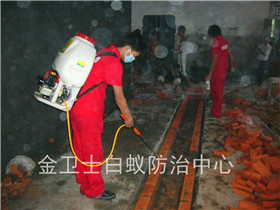 寶安觀(guān)瀾高爾夫曉峰居白蟻防治服務(wù)