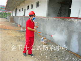 寶安龍華大浪賓寶公司白蟻滅治服務