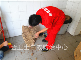 深圳龍崗布吉德?；▓@白蟻防治服務(wù)