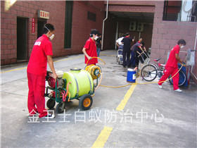 寶安松崗中海西岸華府白蟻防治服務